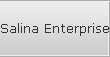 Salina Enterprise Raid Data Recovery Services